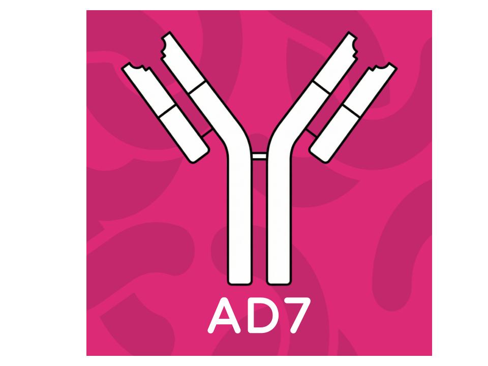 mAb anti human sTLR2 AD7 clone