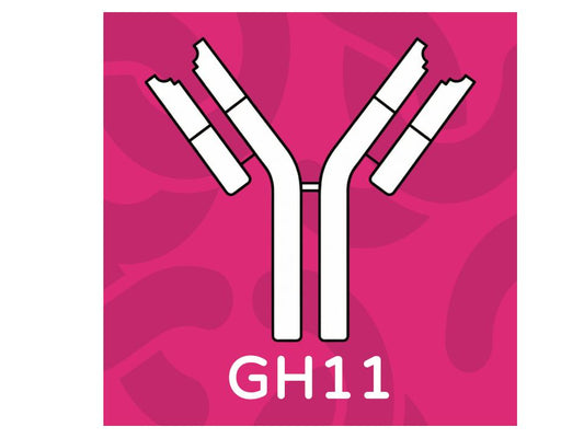 mAb anti human sTLR2 GH11 clone