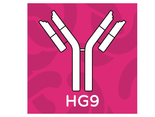 mAb anti human sTLR2 HG9 clone