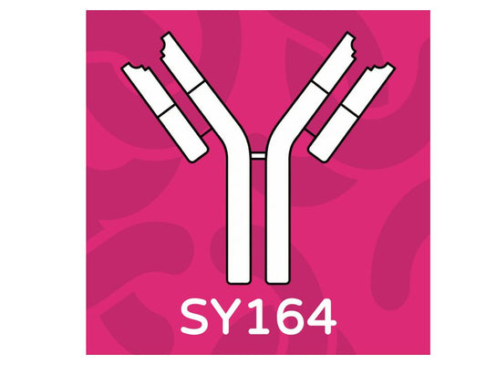 pAb anti human sTLR2 SY164